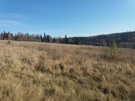 Купить землю с/х назначения, 7 га. Фото 4