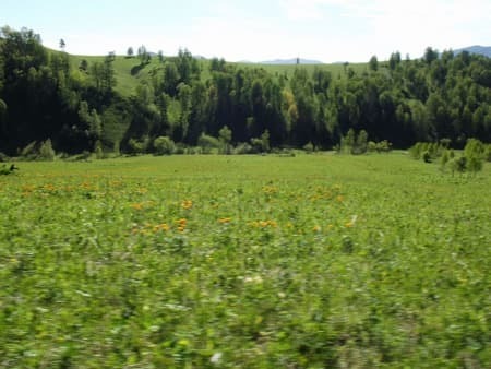 Продажа земли с/х назначения, 6 га. Фото 2