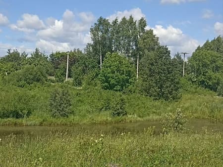 земля под ИЖС, 10 соток