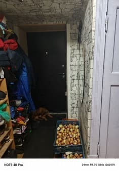 1-комн. квартира, 30.1 м²