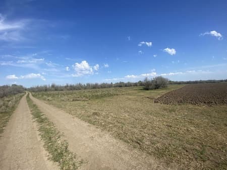 Купить землю с/х назначения, 1 га. Фото 6