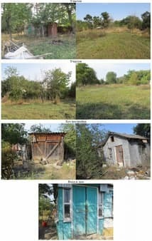 дом, 49.4 м², 21.7 сотки
