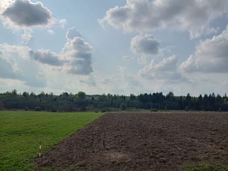 Объявление о продаже земли с/х назначения, 1 га. Фото 1