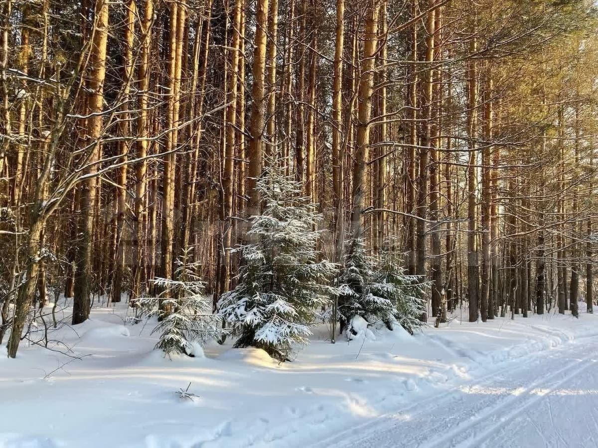 земля под ИЖС, 15 соток
