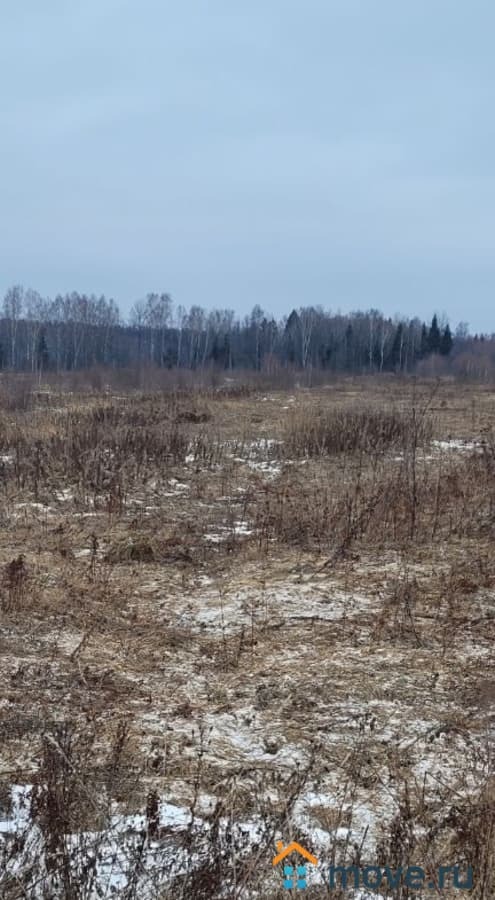 коммерческий участок, 111 га