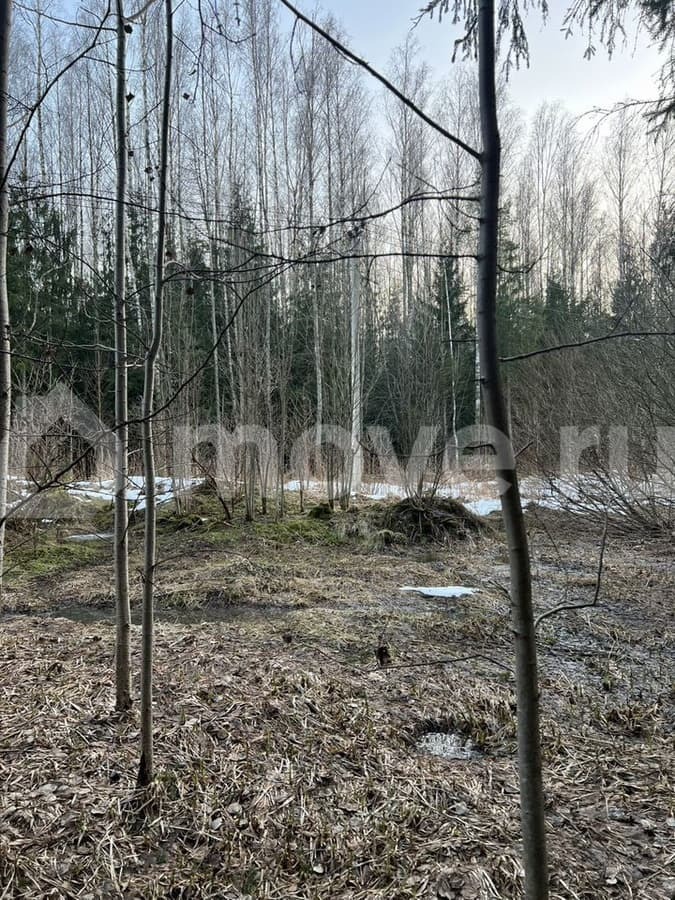 земля промышленного назначения, 1 га