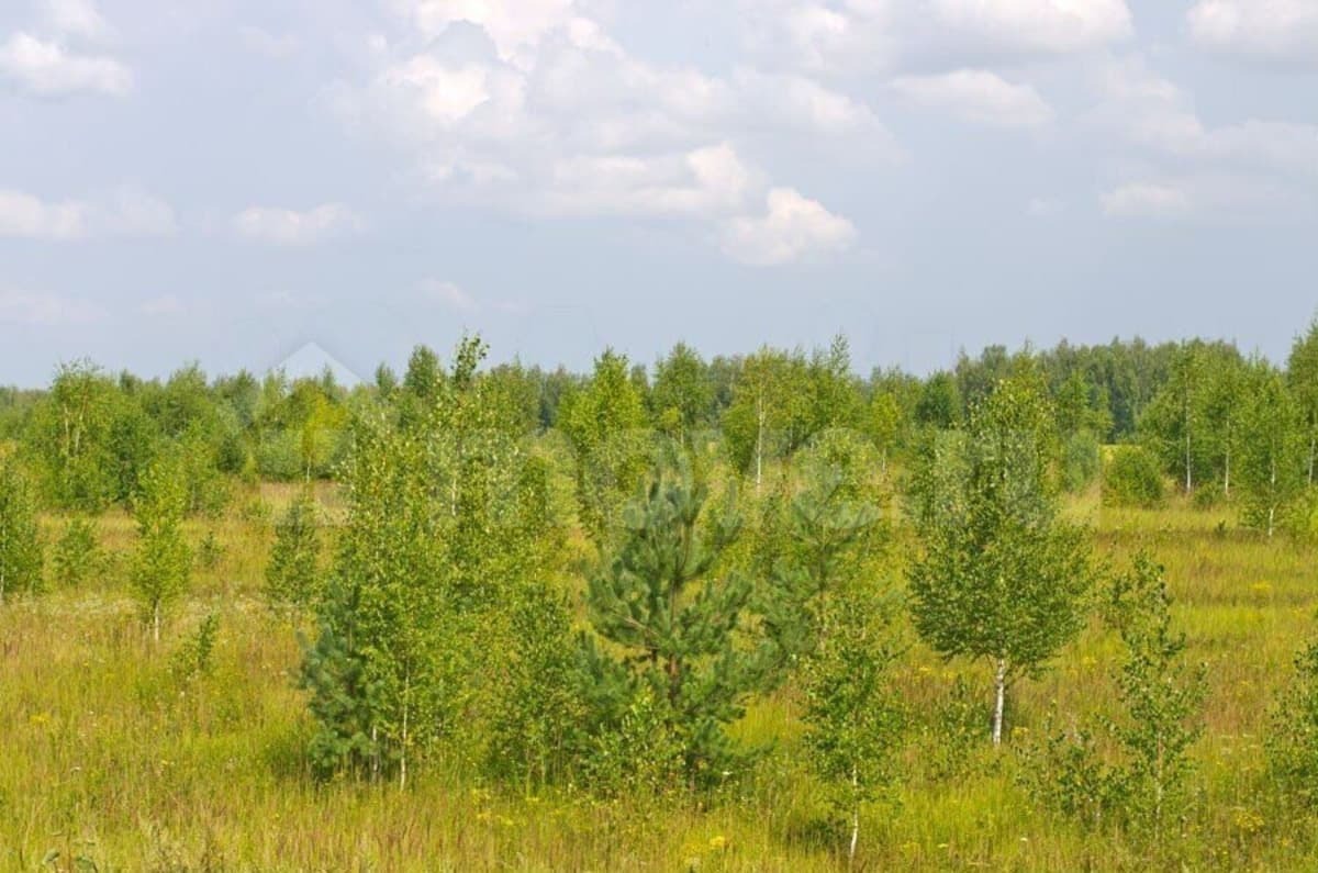 земля с/х назначения, 8.7 га