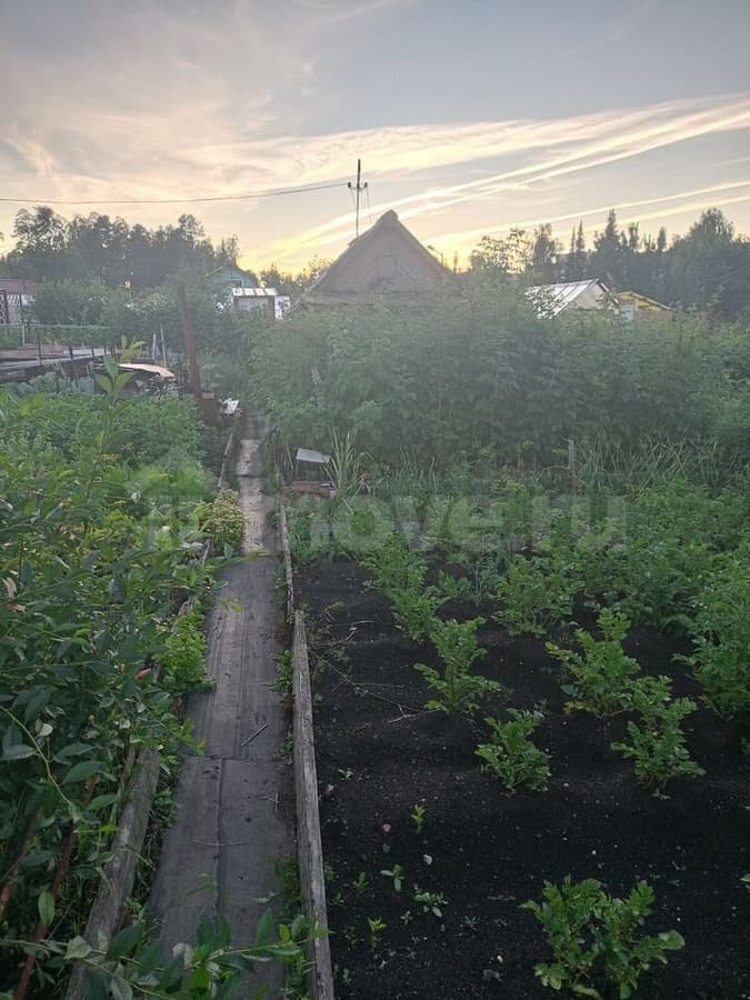 земля с/х назначения, 3.3 сотки