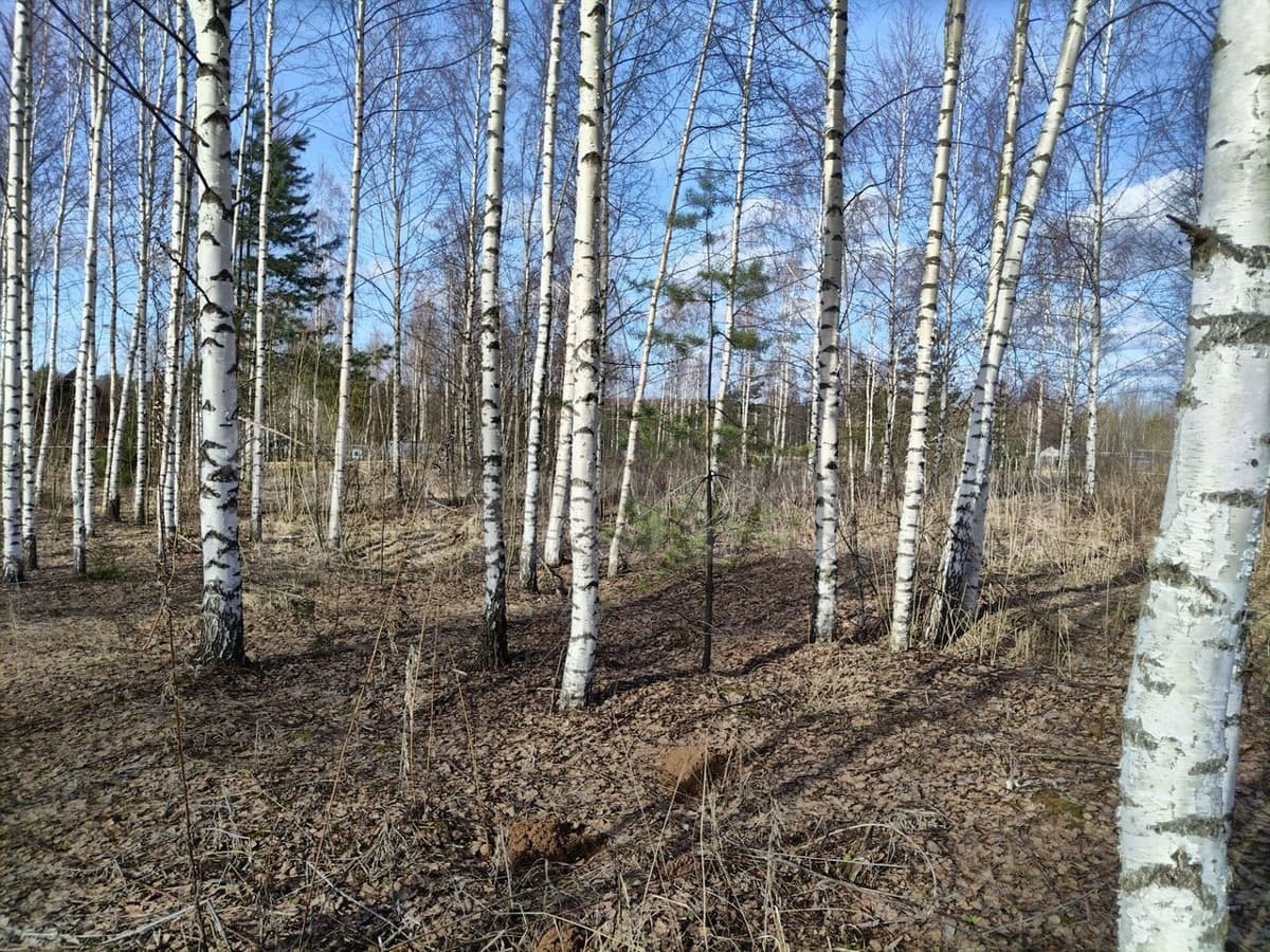 земля под ИЖС, 46 соток