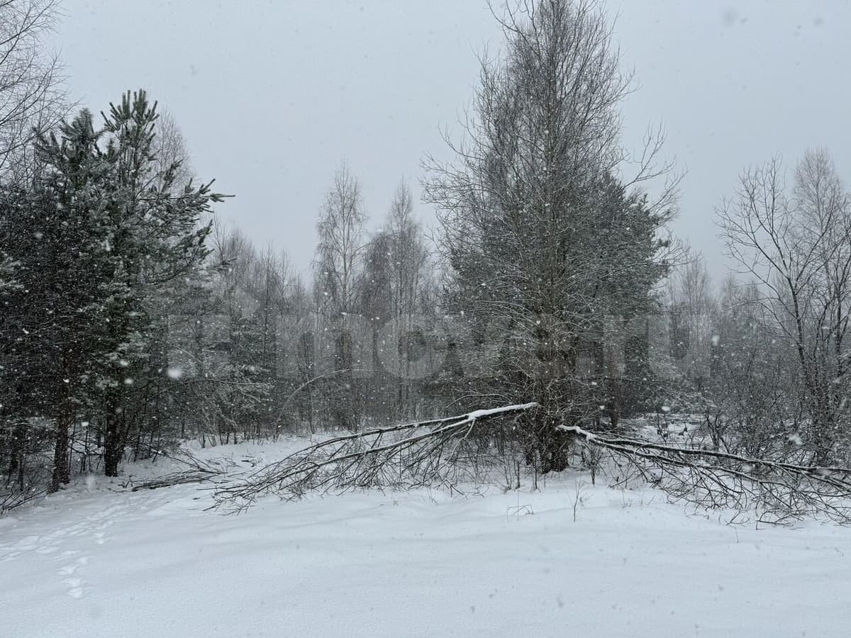 земля под ИЖС, 20 соток